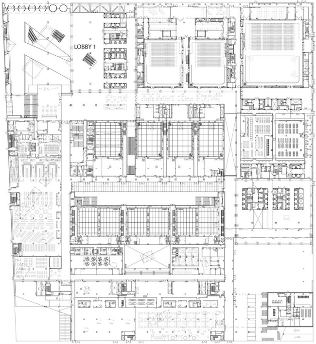 ������ ������������ ���������� �����������. ������� 0 � OMA