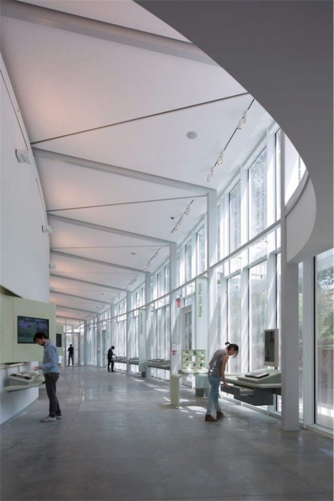 �������������� ����� ������������ ������������� ���� � Albert Vecerka/Esto