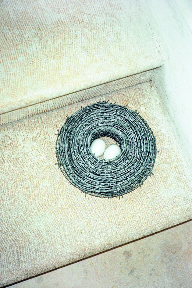 ������ Homely Beginning. ���� Gina Folly � Florian Graf
