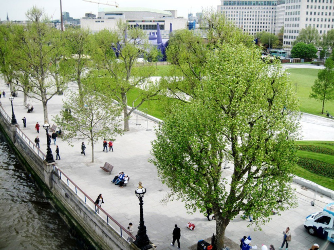 ������� ������� - ������������� � West 8