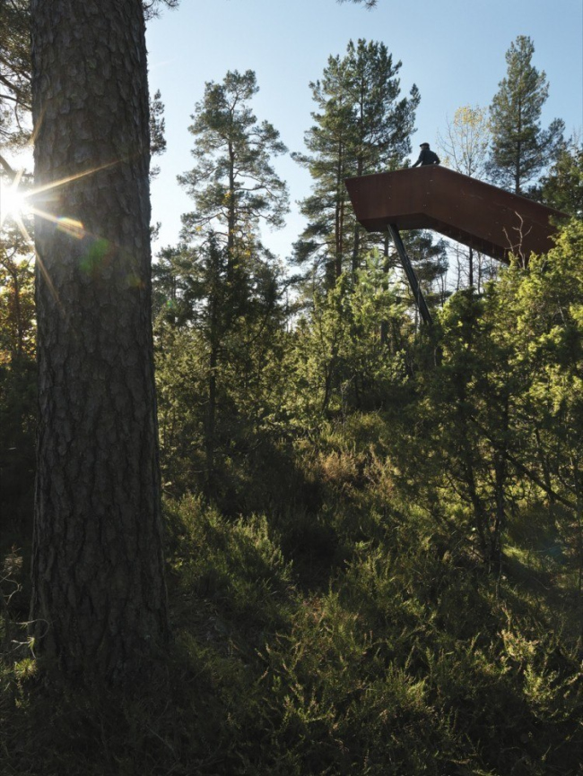 ��������� ��������� ������� �������� � ������ � Bent René Synnevåg
