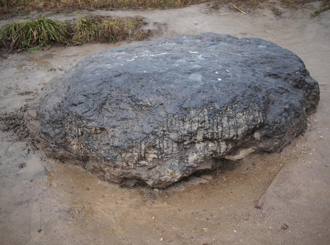 ������ �������