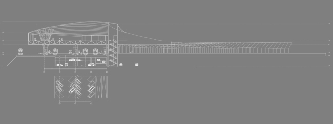 �����������-������������ ���� � ������� ����� ������� � �����. ����������� ������������� �������������