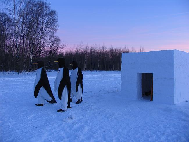 ���������� ��������� ������������ ������������.