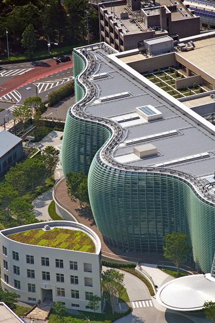 ������������ ����� ��������