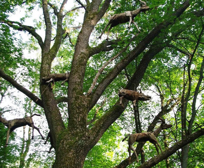 ������� �������� ����.