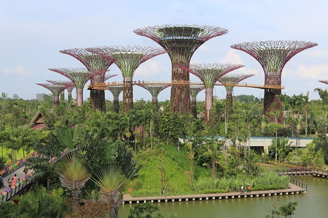 Оранжереи в парке Марина-Бэй-Саут в Сингапуре. Фото: Shiny Things via Wikimedia Commons. Лицензия CC BY 2.0