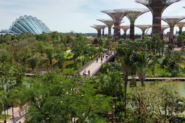 ���� Bay South (�������� Gardens by the Bay) � ���������