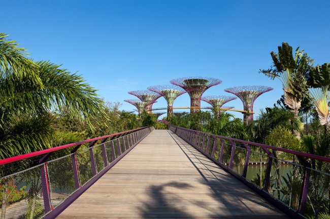 ���� Bay South (�������� Gardens by the Bay) � ���������