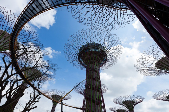 ���� Bay South (�������� Gardens by the Bay) � ���������