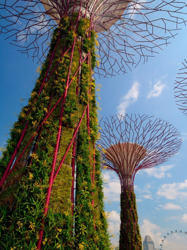 ���� Bay South (�������� Gardens by the Bay) � ���������