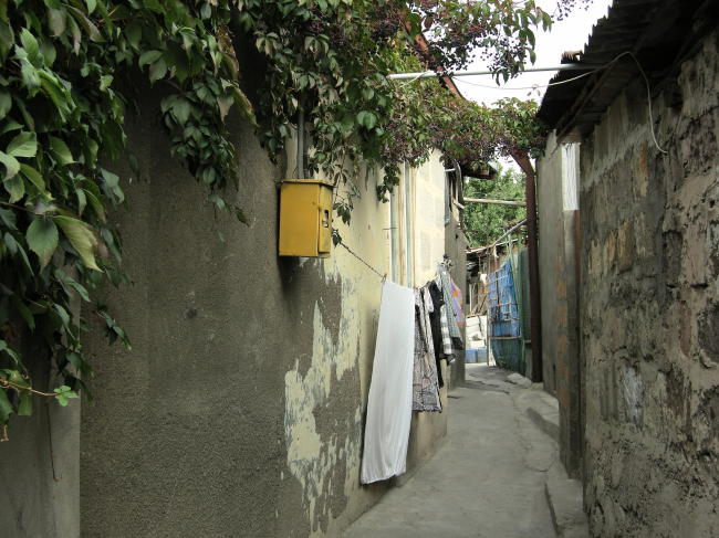 ������. ������. ���� ������, 2011