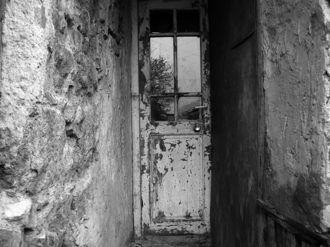 ����. ����� �����. ���� ������. 2011