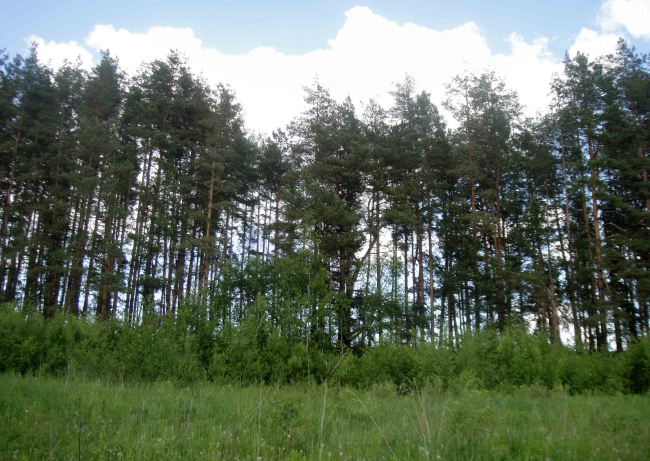 �������� ���������� �� ������� �������� ��������.