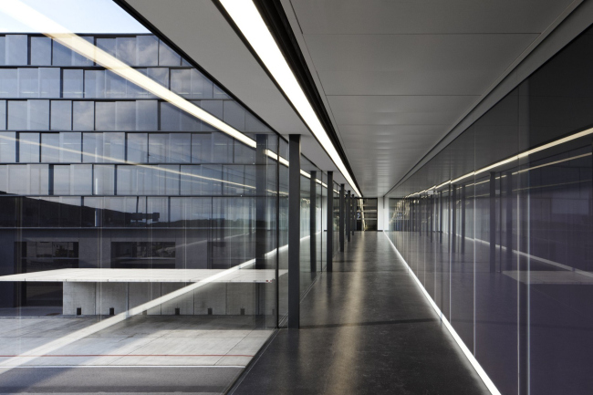 �������� Skylink �������� �������������� ��������� � Werner Huthmacher