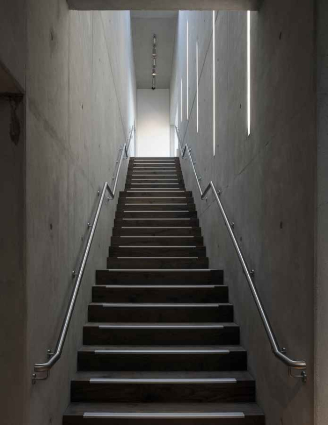 Novium - окружной музей Чичестера © Keith Williams Architects