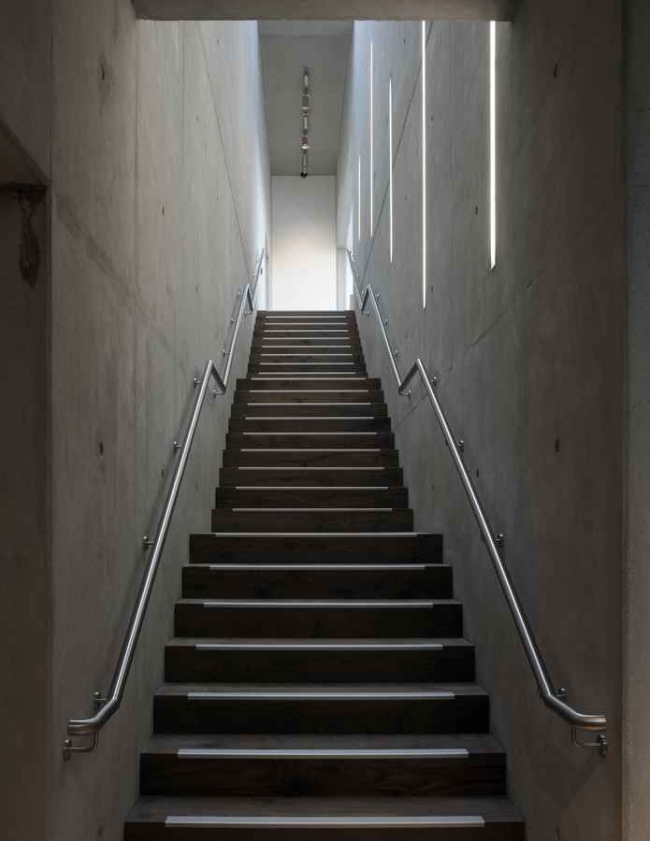 Novium - �������� ����� ��������� � Keith Williams Architects