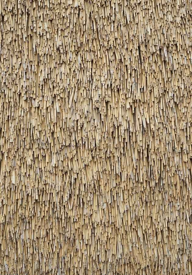 �������������� ����� ����������� ������ � Åke E:son Lindman