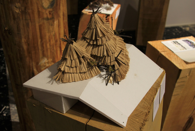 �������� ��� �� ������ ������������ ��������: ������. ���������� �.�����������