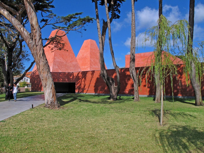 ����� ����� ����