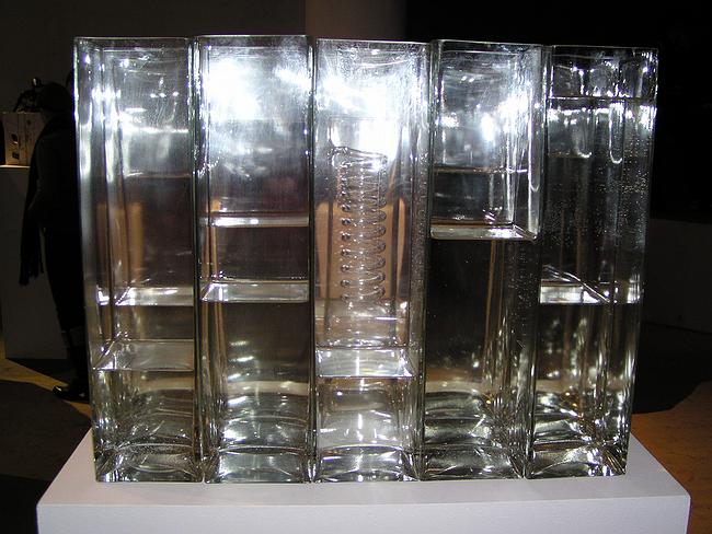 ������ ��������. In Vitro