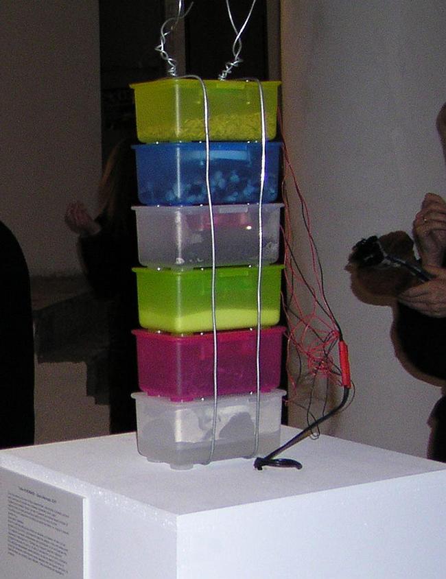 ������ ������ ����������