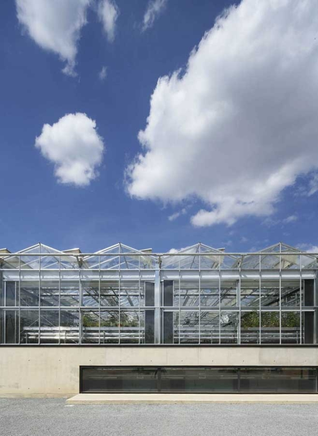 ����������� ���������. ���� � Hufton+Crow