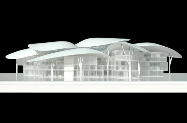 ����� �������� � ������� � Studio Fuksas
