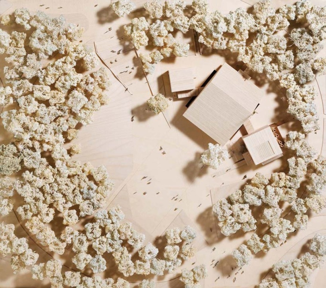 ��������� ��� Parco della Musica � �′������