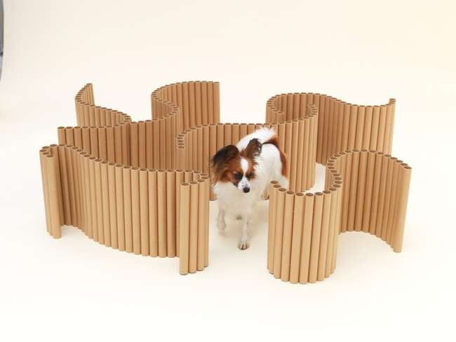    -.  Architecture for Dogs