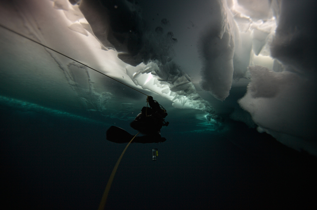 ���� �� ������ ��� ��������� ���������� �� ����� ����������