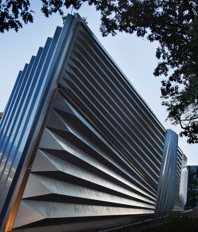 ����� �������� ���� � ���� ����� � Paul Warchol