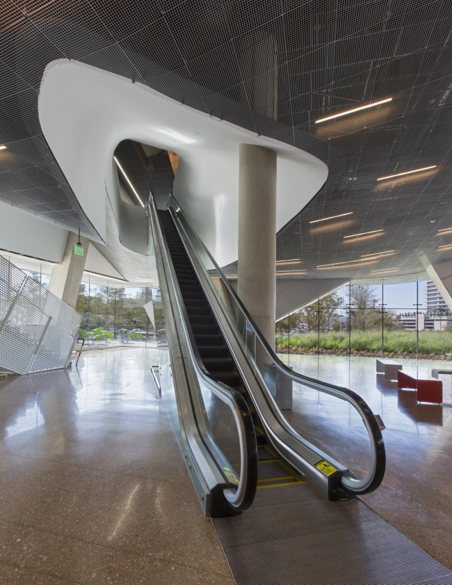 ����� ������� � ����� ����� � Mark Knight Photography