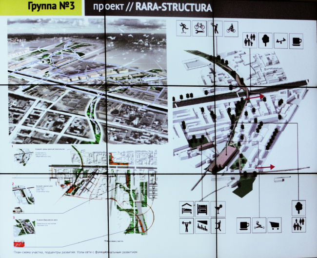  3. “Rara Structura”.    