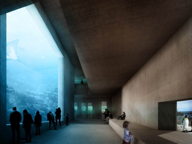 ������ Morger + Dettli Architekten Zooz. 4-� �����