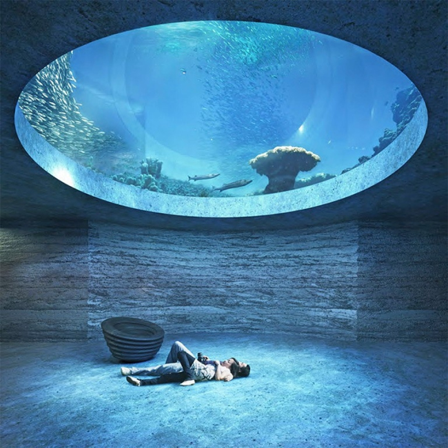 ������ Boltshauser Architekten �������� ���� (Seacliff). 1-� �����