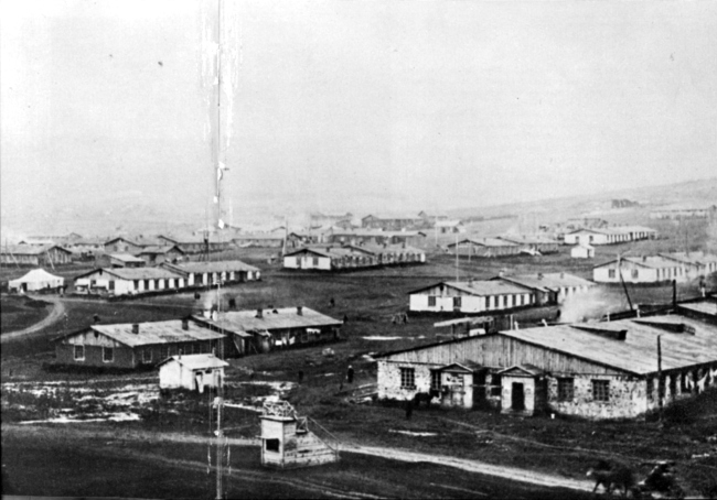 ������ ������������. 
��������: ������������� �.�.���������
