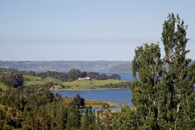 ����� Refugia � Tali Santibañez