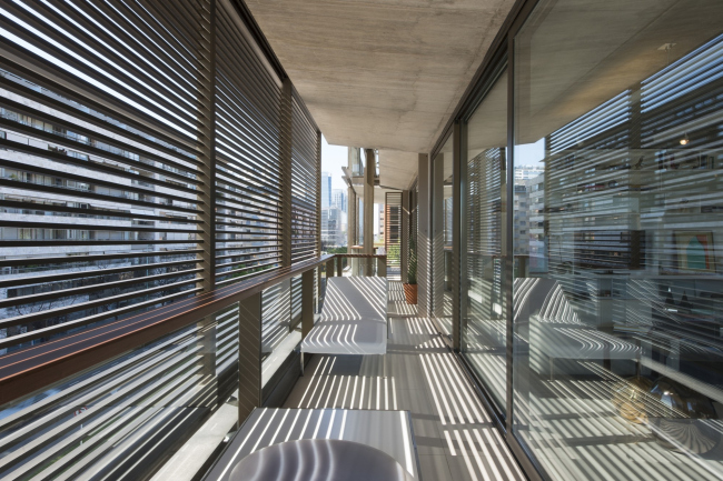 ����� �������� � �������� Faena (Aleph) � Nigel Young