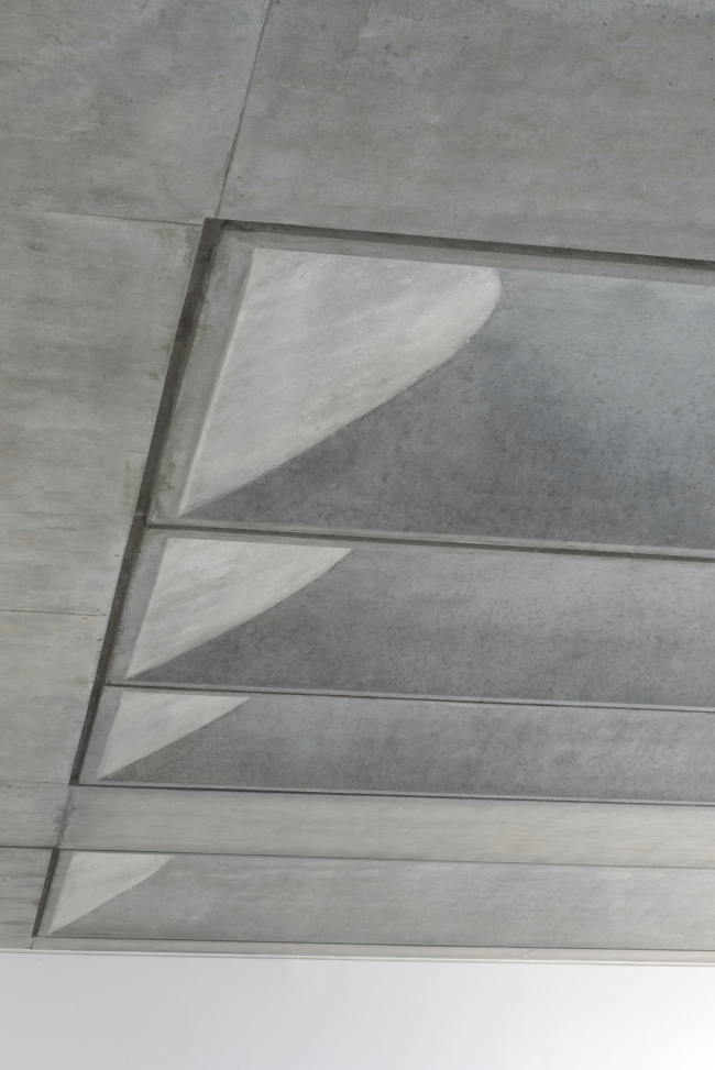 ����� �������� � �������� Faena (Aleph) � Nigel Young