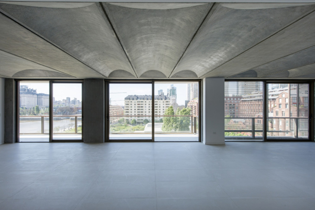 ����� �������� � �������� Faena (Aleph) � Nigel Young