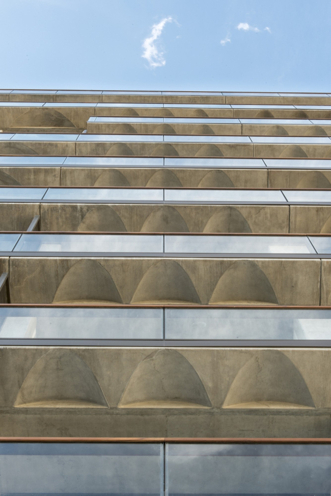 ����� �������� � �������� Faena (Aleph) � Nigel Young