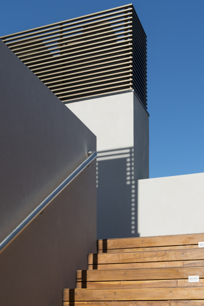 ����� �������� � �������� Faena (Aleph) � Nigel Young