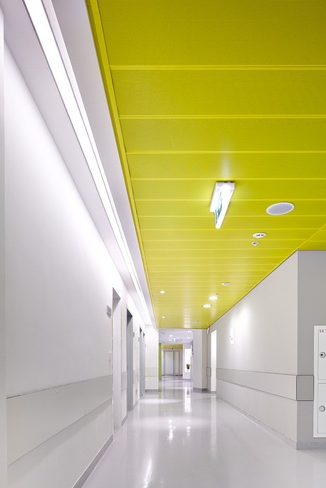 ��������� �������-���������������� ������������ ������ �� ��. �������