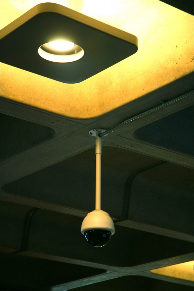 ��������. ���� � ���� �������