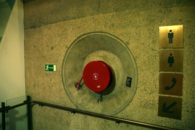 ��������. ���� � ���� �������