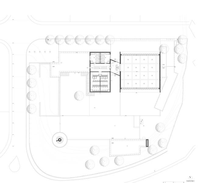 �������� ����� � ������� �������� � Álvaro Siza