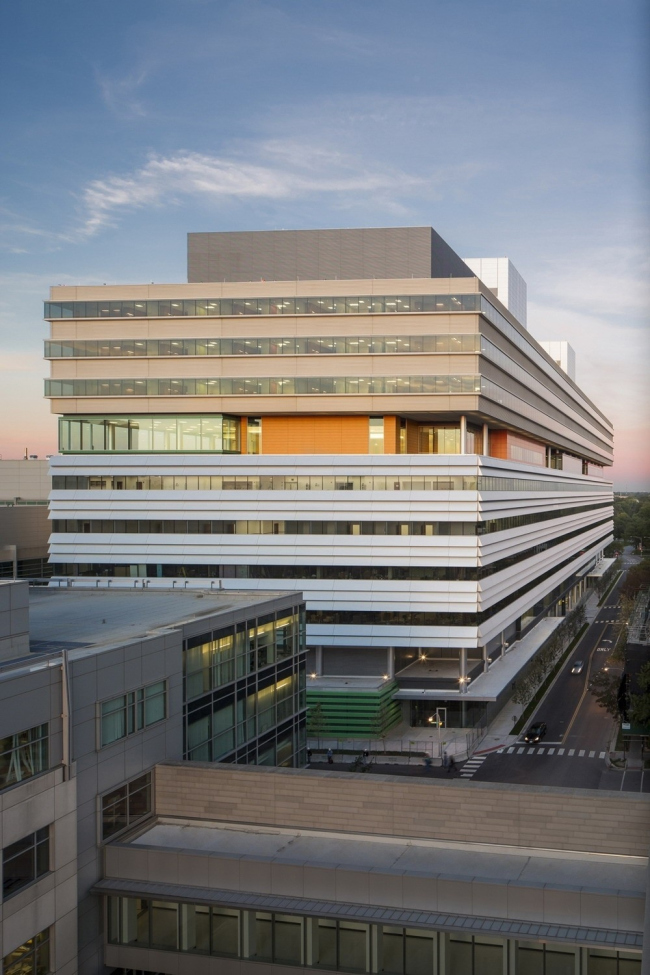 ����� ������� � �������� ������������ ������ ���������� ������������