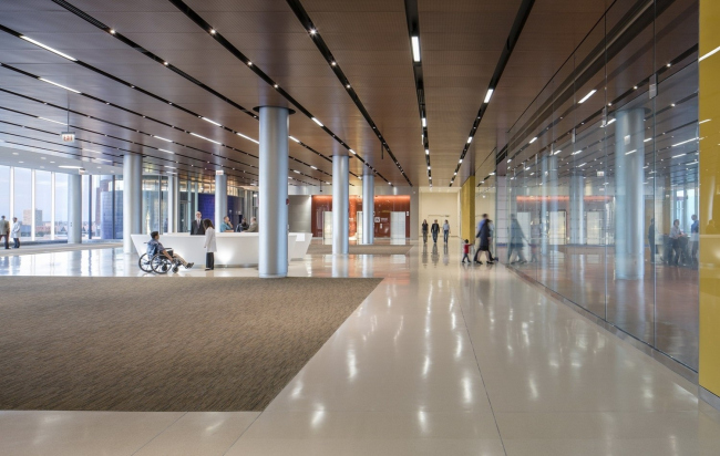 ����� ������� � �������� ������������ ������ ���������� ������������