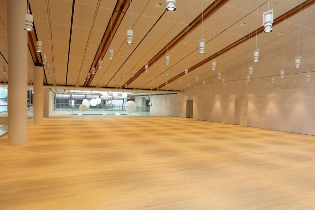 ����� ����� MUSE � RPBW